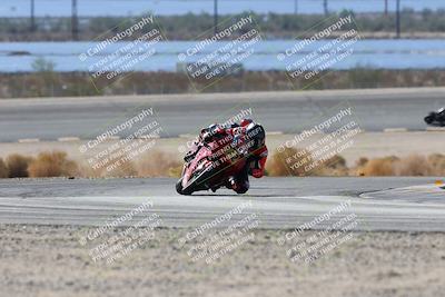 media/Nov-16-2025-Race Pace (Sun) [[8c5fa54630]]/Verified Riders/3-Turn 14 (1045am)/